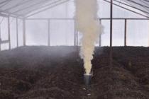 Защита кабачков от заболеваний (практика природного земледелия) Как лечить рассаду кабачков от тли сывороткой