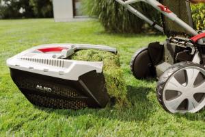 Технология мульчирования скошенной травой Можно ли мульчировать скошенной газонной травой
